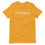 Load image into Gallery viewer, stay balanced signature tee
